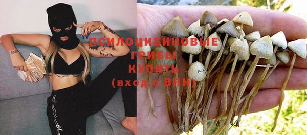 бутират Алзамай