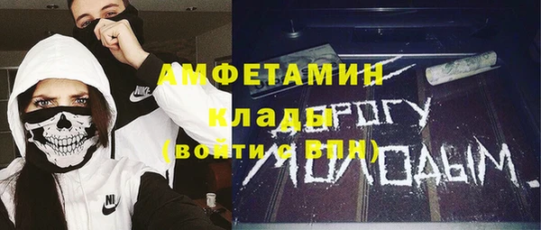 амф Алексин